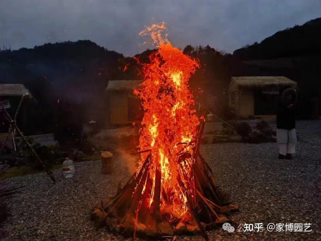 添雅科技资讯怎么样知乎(四川中雅科技有限公司怎么样)下载