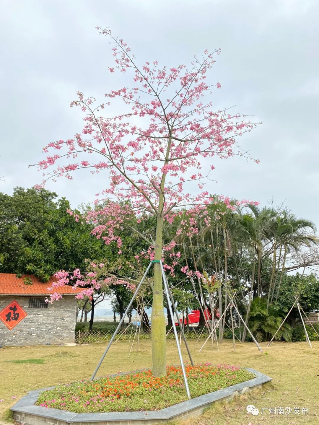 好花科技资讯搜索(好花商城是真的假的)下载