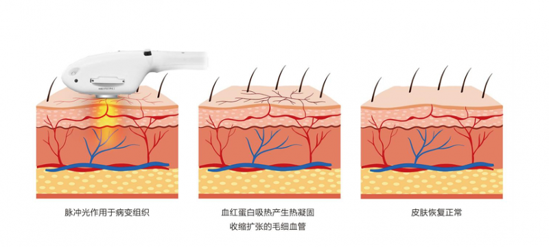 科技资讯账号密码是多少(科技资讯账号密码是多少号)下载